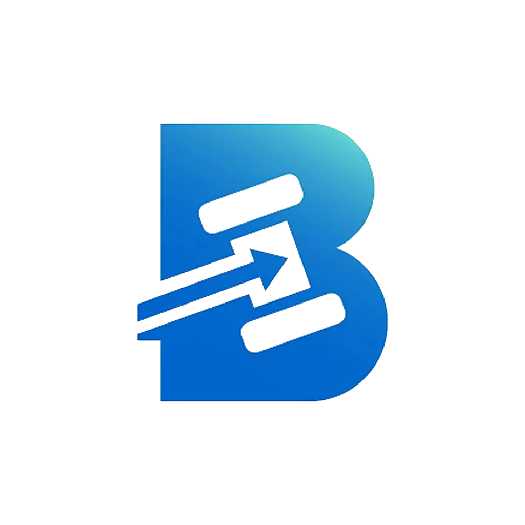 BIDZ Pay